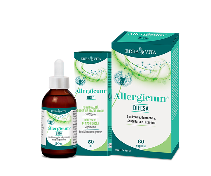 Allergicum