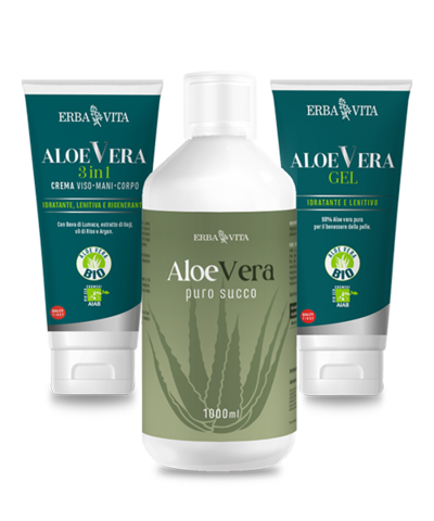 Aloe Vera