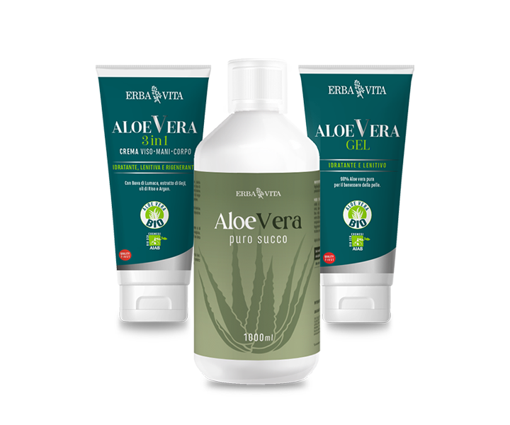Aloe Vera