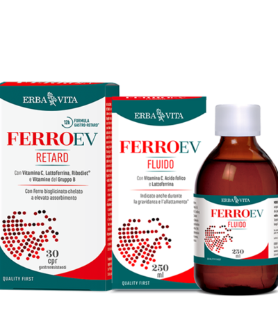FerroEV