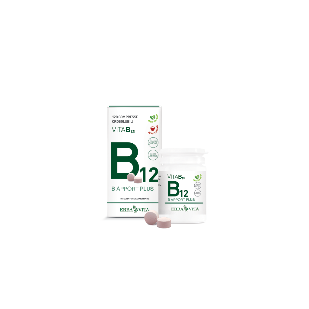 b-apport-vitamina-b12