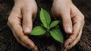 Sustainability