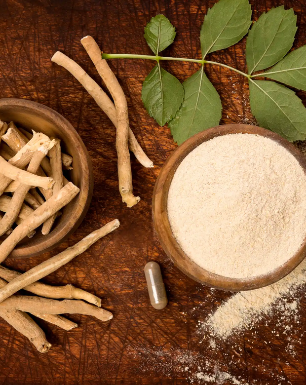 Ashwagandha: radice per sport e benessere mentale
