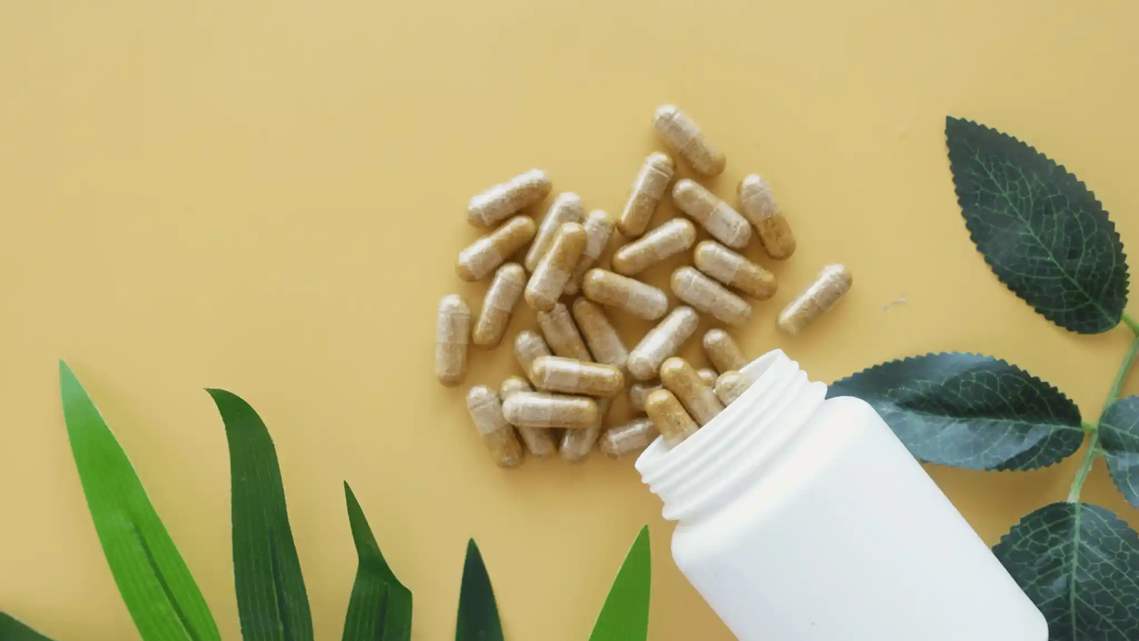 PEA: la molecola naturale che aiuta gli sportivi