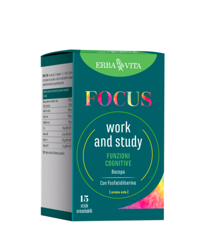 FOCUS WORK&STUDY