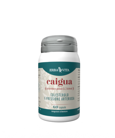 CAIGUA