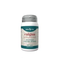 CAIGUA