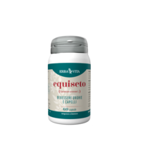 EQUISETO