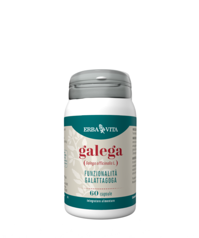 GALEGA