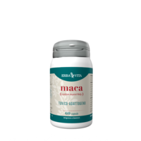 MACA