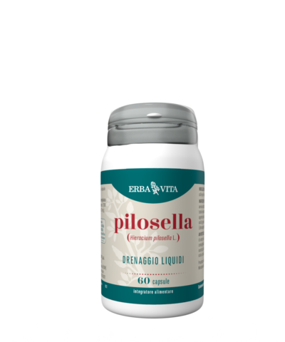 PILOSELLA
