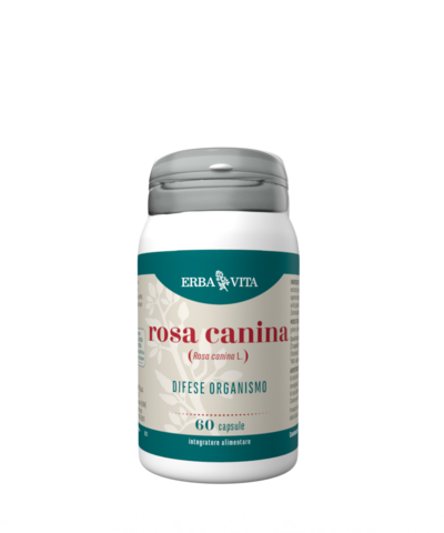 ROSA CANINA