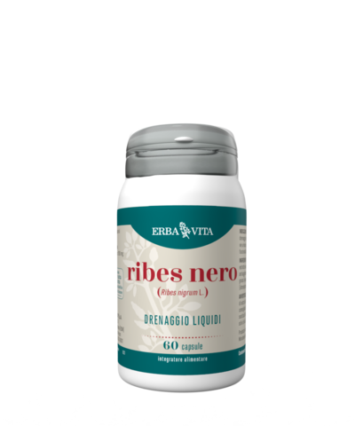 RIBES NERO