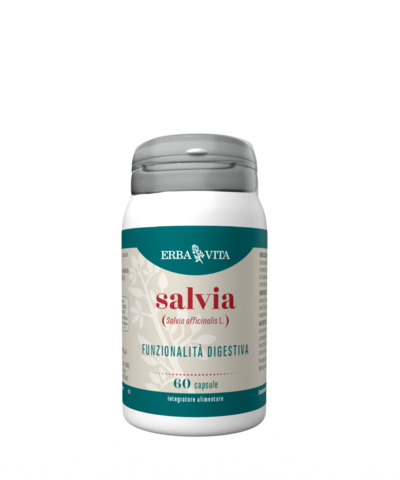 SALVIA