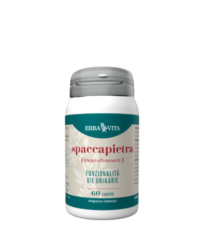 SPACCAPIETRA