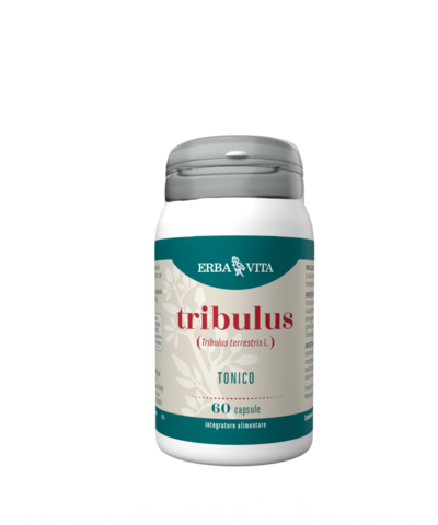 TRIBULUS