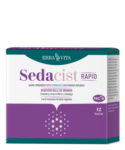 SEDACIST RAPID 6+6 BUSTINE