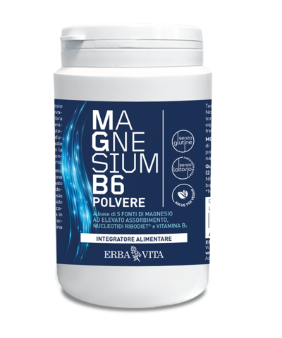 MAGNESIUM B6 POLVERE