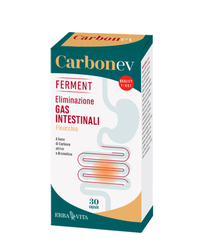 CARBON EV Ferment