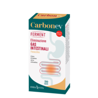 CARBON EV Ferment