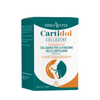 CARTIDOL COLLAGENE