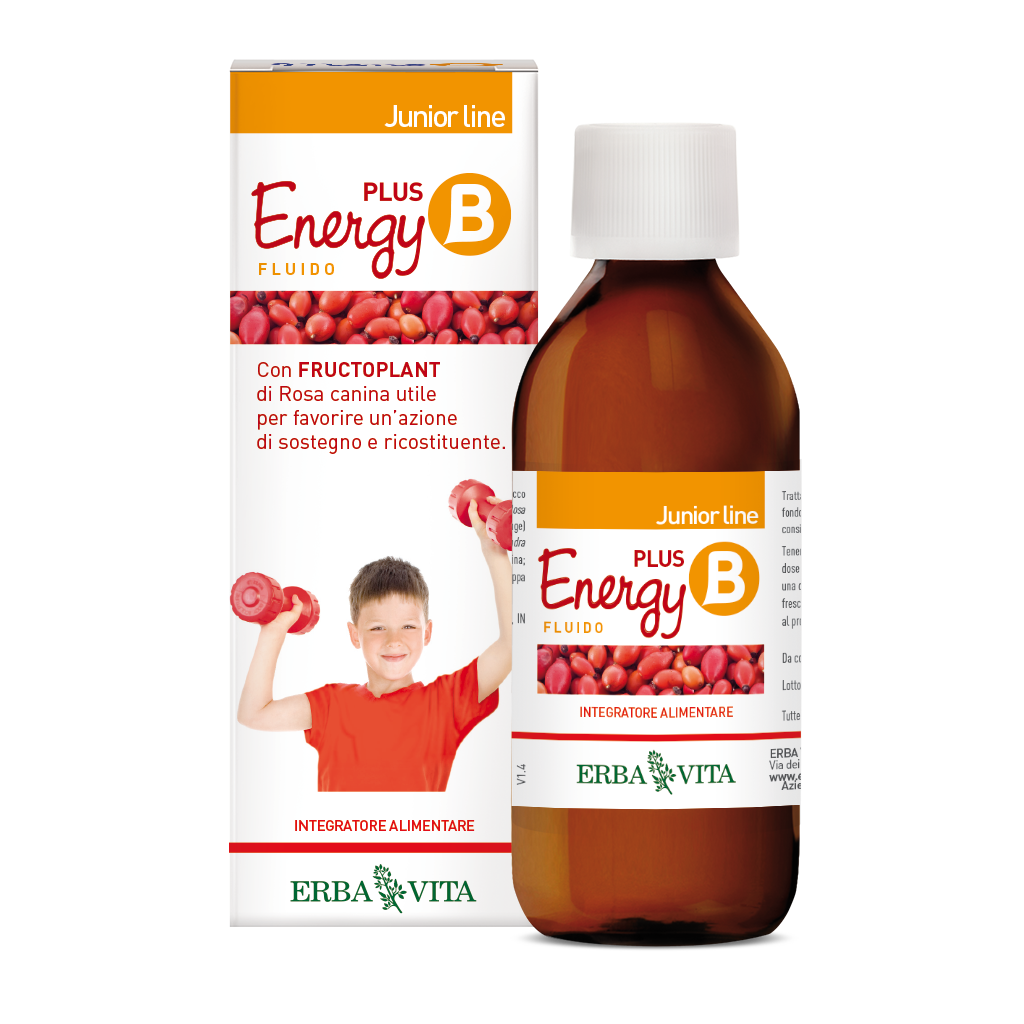 energy-b-plus