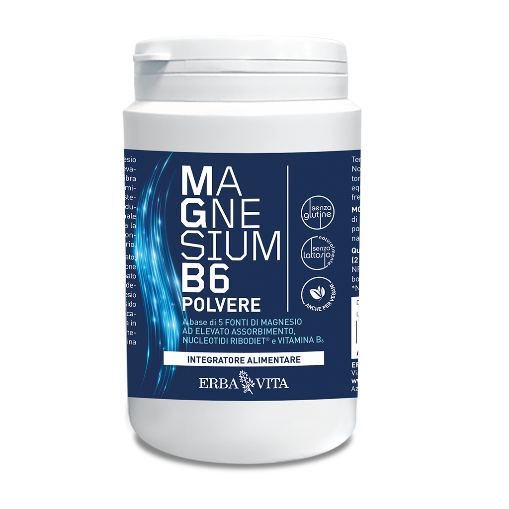 magnesium-b6-polvere