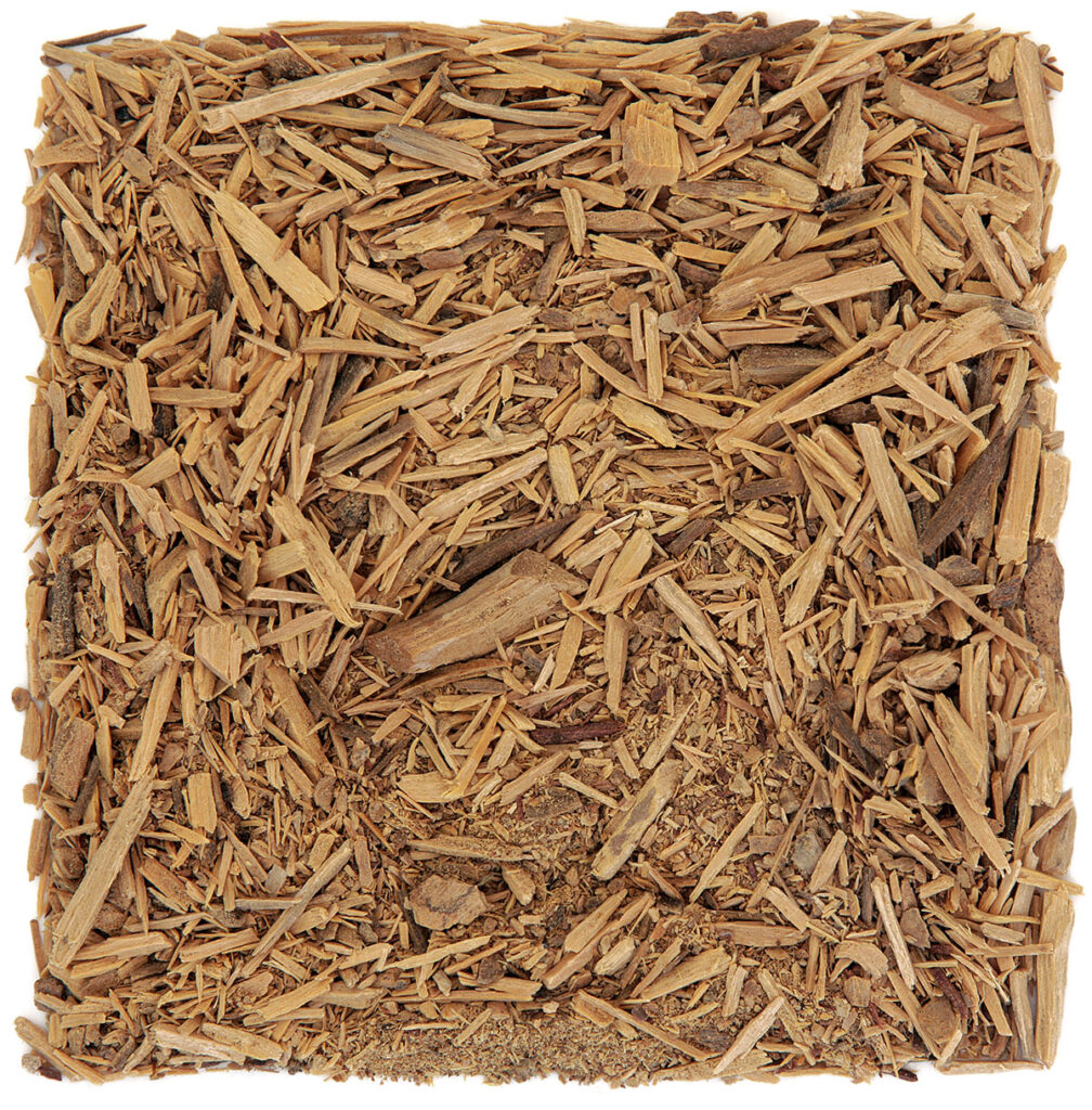 Cresce in Amazzonia la 'pianta dell'amore' Erba Vita