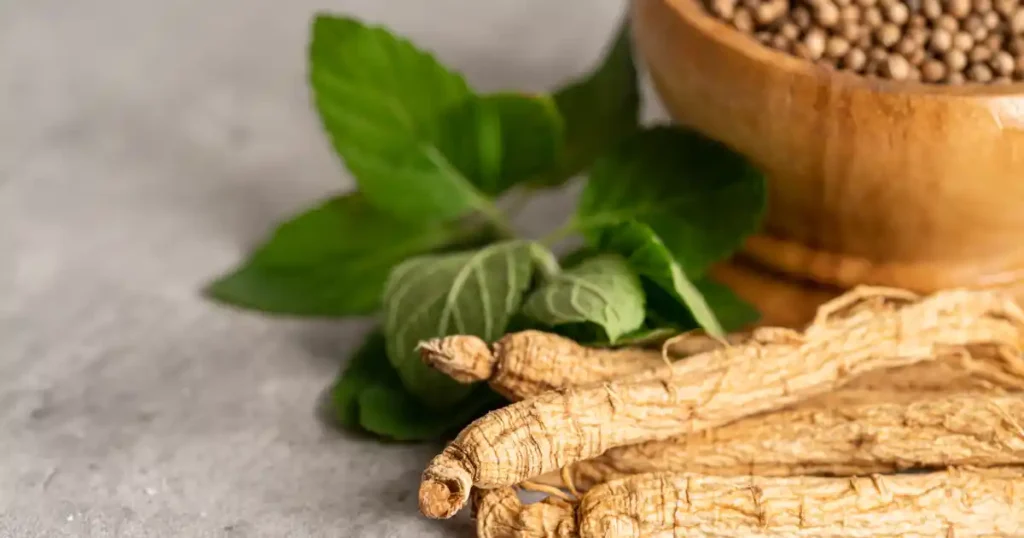 Ginseng per la concentrazione negli integratori alimentari per lo sport