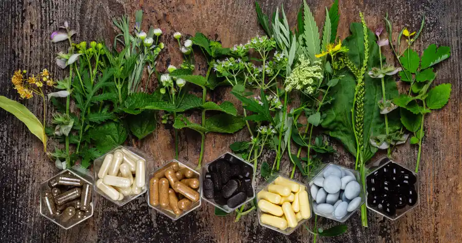 Piante ed erbe usate negli integratori alimentrai per lo sport