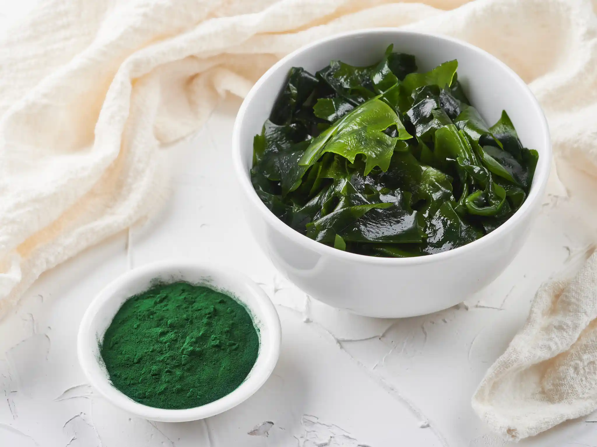 Ciotole con alga spirulina eintegratore in polvere