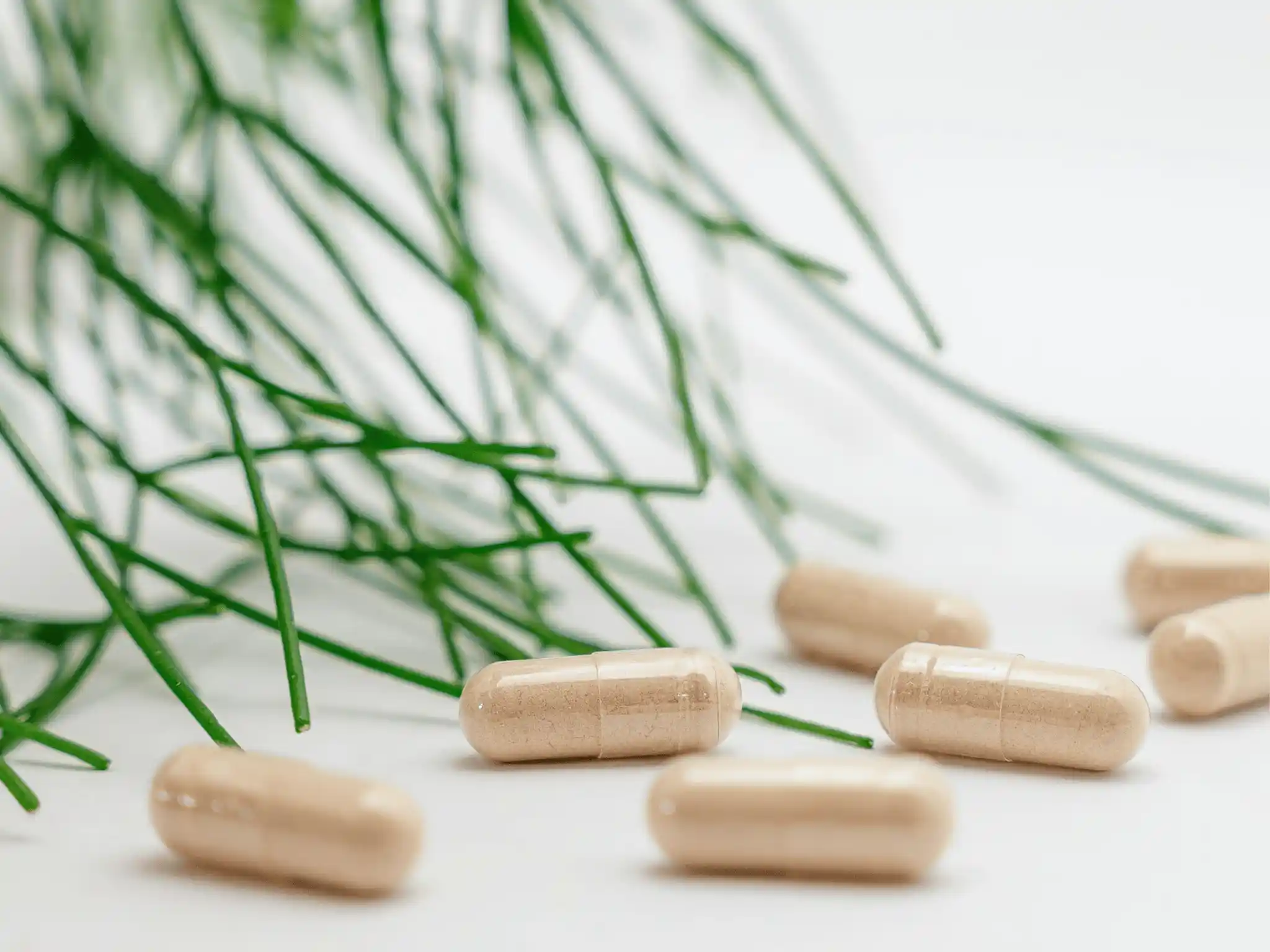 Capsule integratore alimentare isoleucina