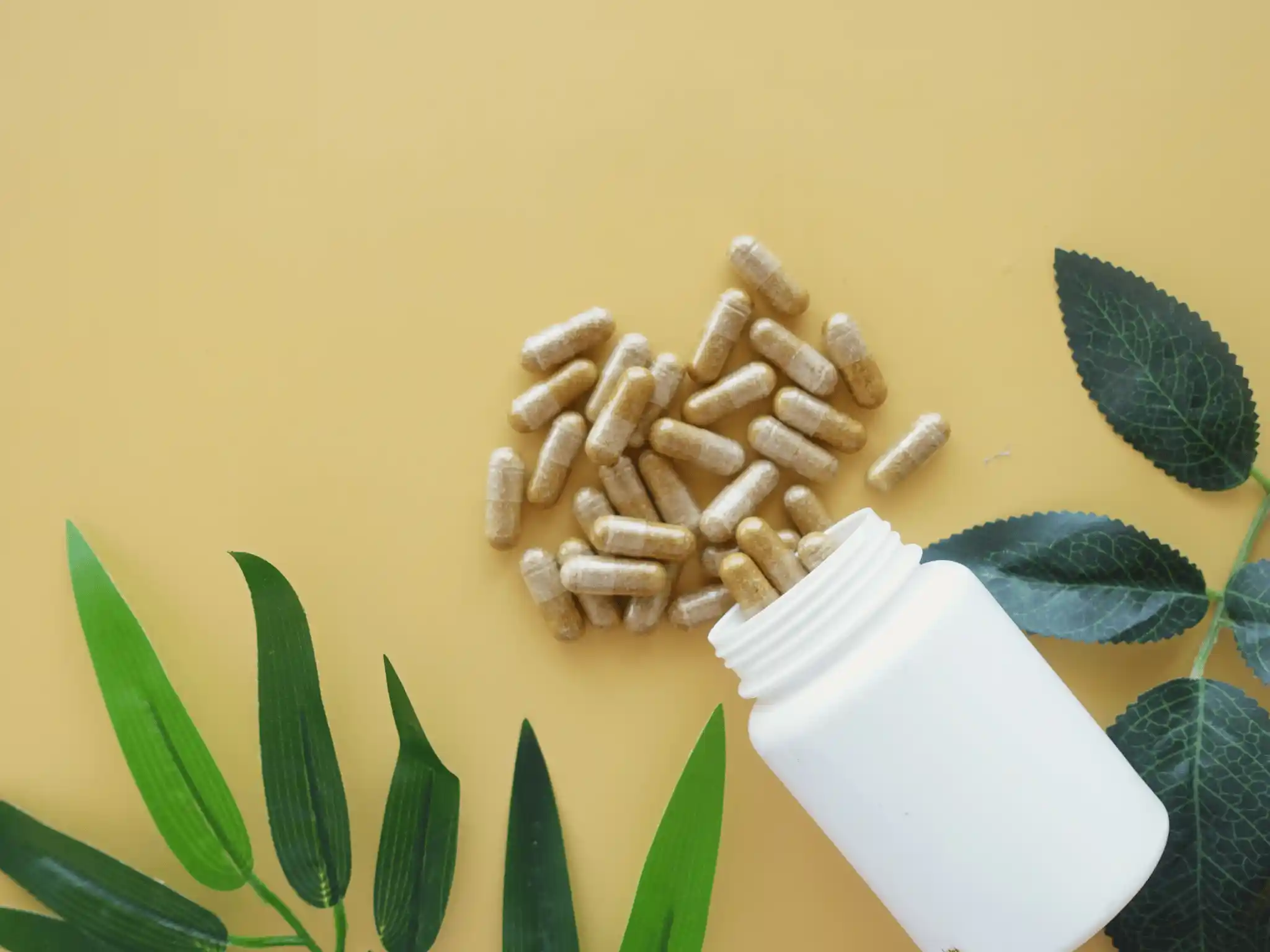 Benefici PEA nello sport